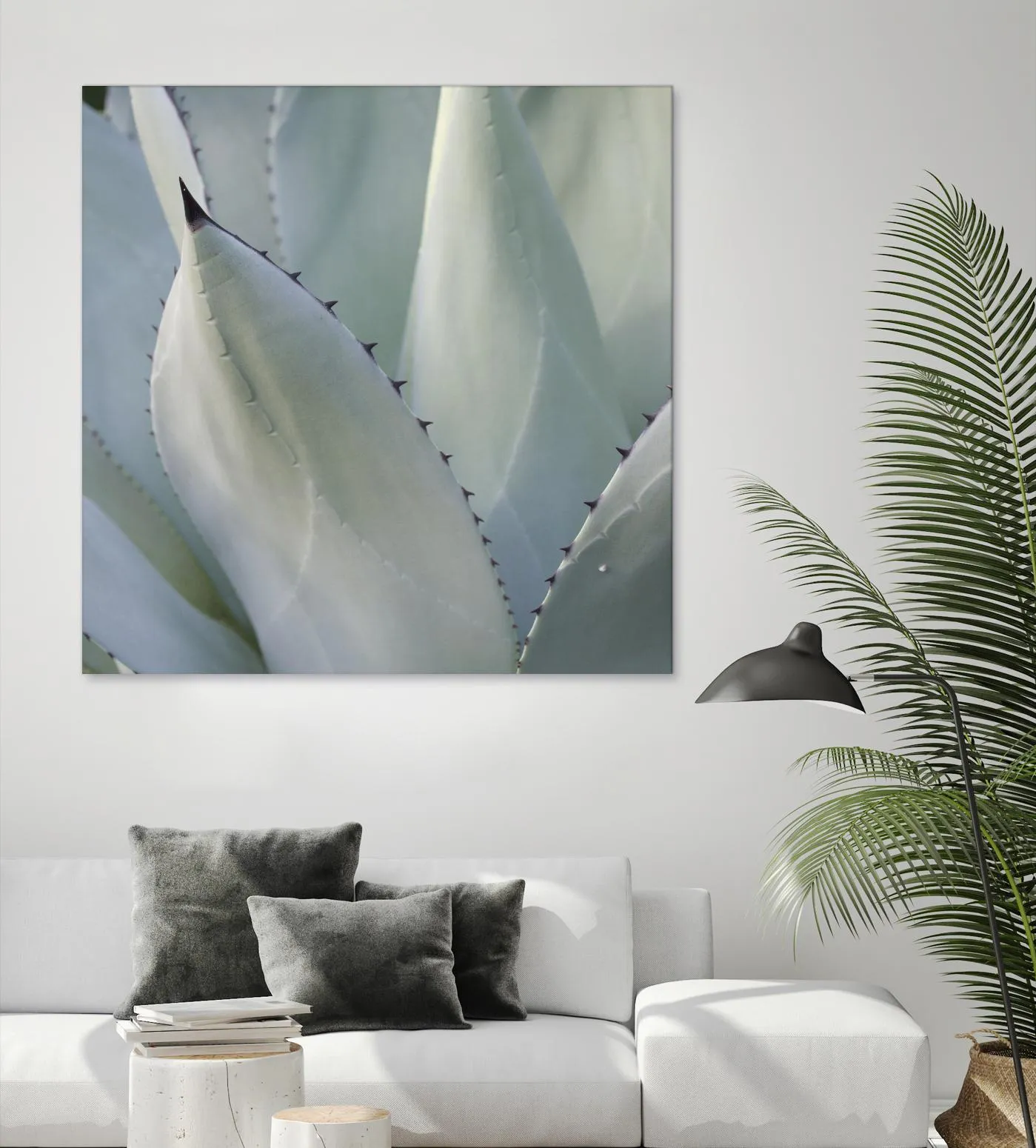 Black Tip Succulent